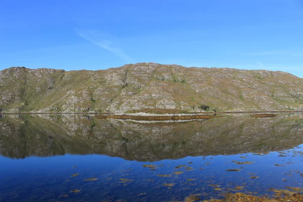 Espigas Lago Escocés —  Fotos de Stock