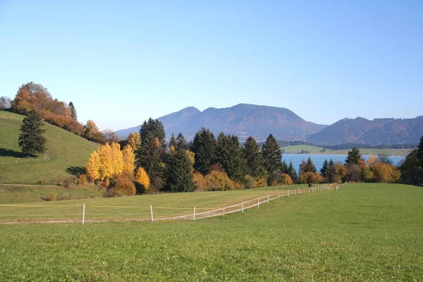 Forggensee Fuori Ammergau Alpi — Foto Stock