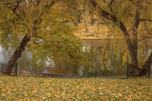 Atmosfera Jesienna Ostrość Selektywna — Zdjęcie stockowe