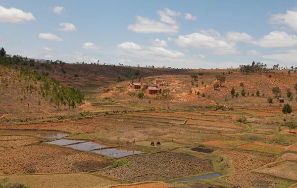 Пейзаж Мадагаскаре — стоковое фото