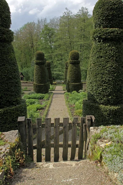 Tuin Met Boxhouten Zuilen — Stockfoto