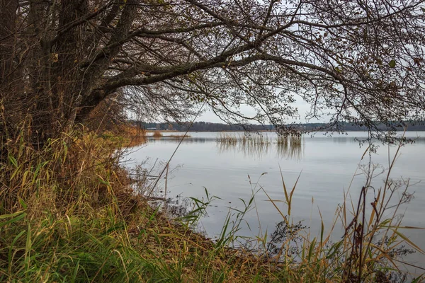 Smuk Udsigt Naturen Scene - Stock-foto