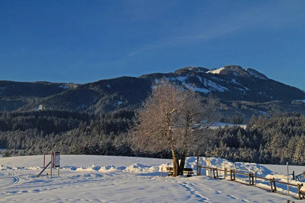 Pintoresca Vista Del Paisaje Invernal Cubierto Nieve — Foto de Stock