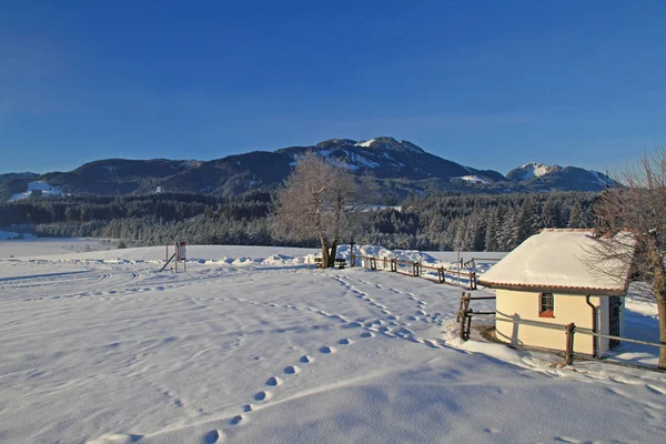 Pintoresca Vista Del Paisaje Invernal Cubierto Nieve — Foto de Stock