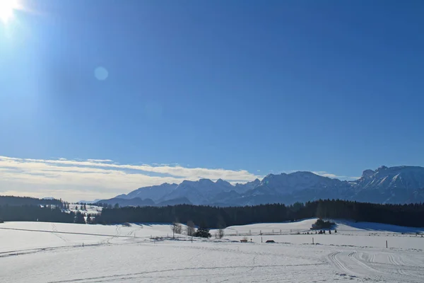 Vue Pittoresque Sur Paysage Hivernal Enneigé — Photo