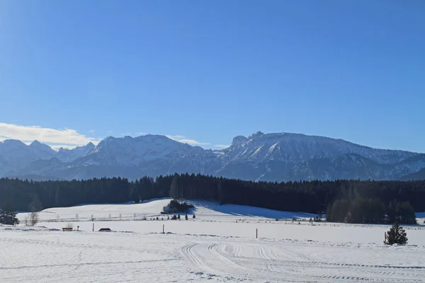 Pintoresca Vista Del Paisaje Invernal Cubierto Nieve — Foto de Stock