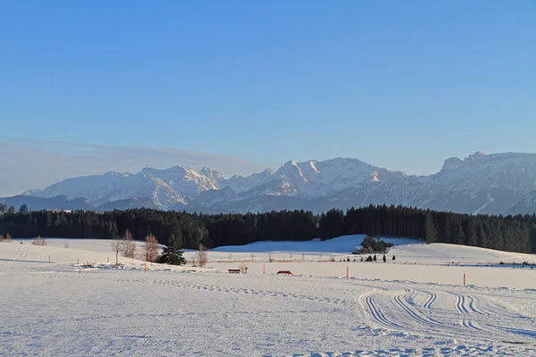 Pintoresca Vista Del Paisaje Invernal Cubierto Nieve —  Fotos de Stock