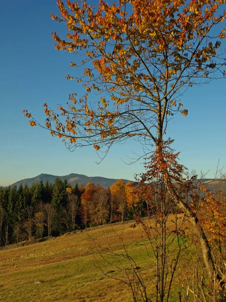 Paisaje Natural Con Hermoso Día Soleado —  Fotos de Stock