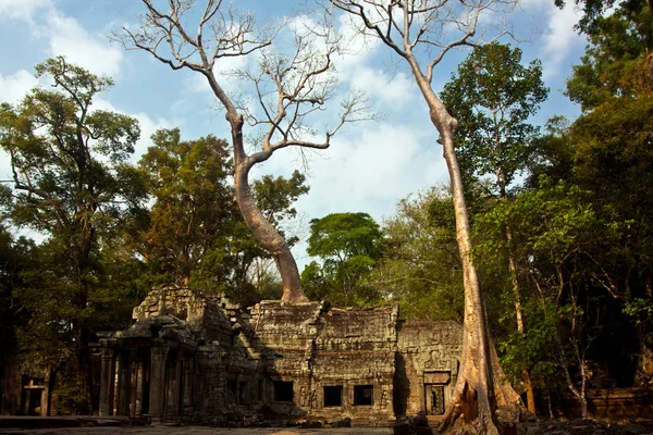 Templele Agkor Wat Sunt Probabil Printre Lucrurile Mistice Care Lumea — Fotografie, imagine de stoc