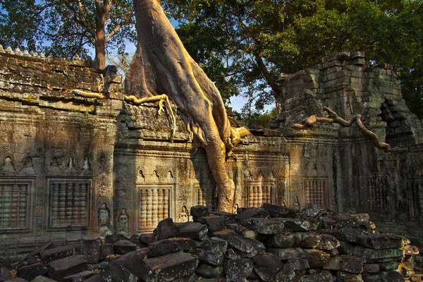 Templi Agkor Wat Sono Probabilmente Tra Cose Mistiche Che Mondo — Foto Stock