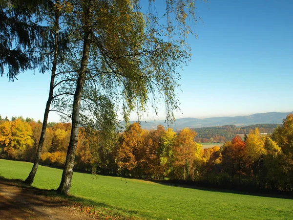 Brume Matinale Sur Forêt Bavaroise Moyenne — Photo