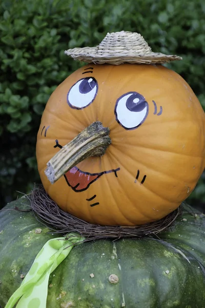 Festival Delle Zucche Arancioni Halloween — Foto Stock