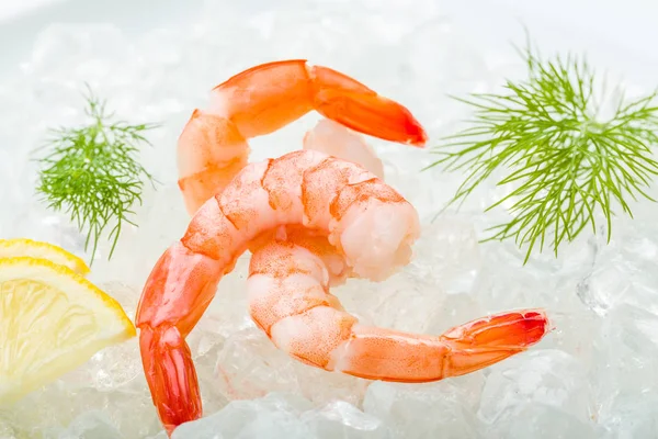 Gambas Gardiner Vit Bakgrund — Stockfoto