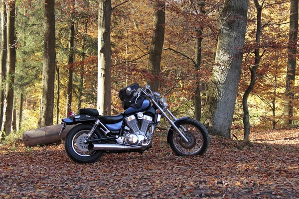 Fahrrad Herbstlichen Wald — Stockfoto