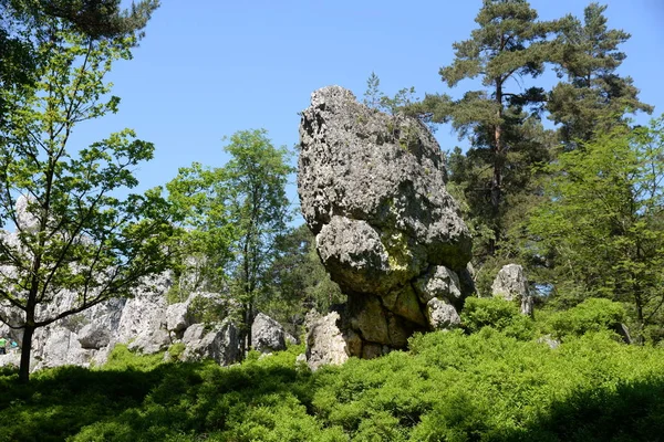 夏天的山景 — 图库照片