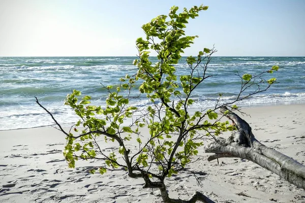 Malerischer Blick Auf Die Schöne Hafenlandschaft — Stockfoto