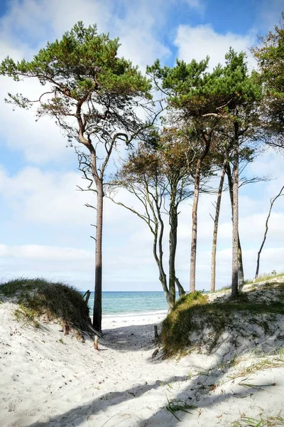 Piękny Tropikalny Krajobraz Plaży — Zdjęcie stockowe