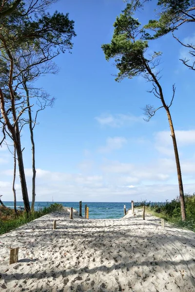 Vista Panoramica Bellissimo Paesaggio Portuale — Foto Stock