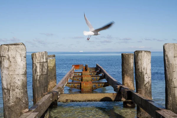 Baltic Sea — Stock Photo, Image