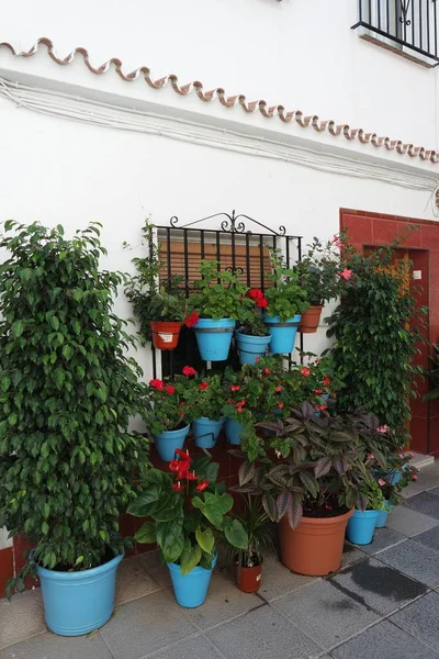 Flores Maceta Frente Una Casa Andalusia —  Fotos de Stock