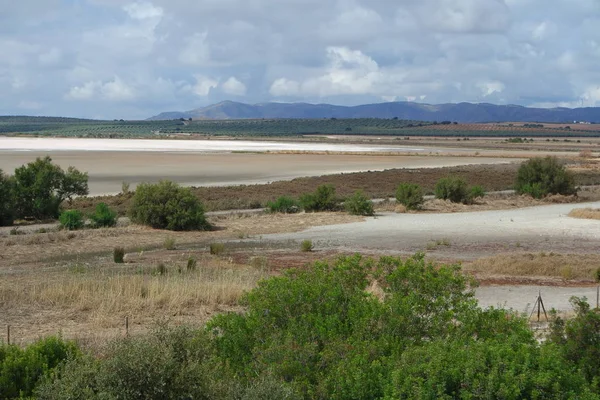 Kuru Laguna Fuente Piedra — Stok fotoğraf