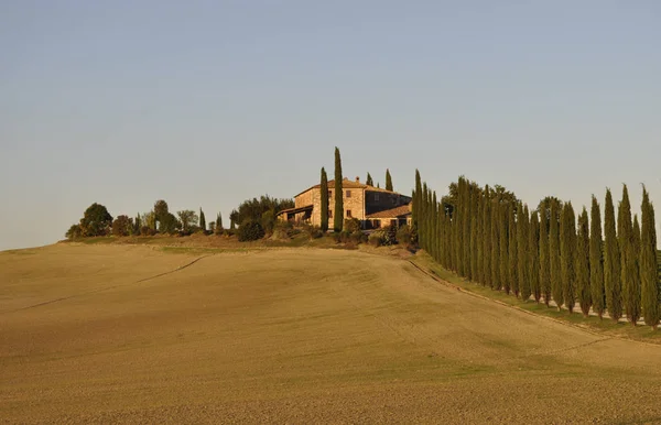 Landscape Tuscany Italy — Stock Photo, Image