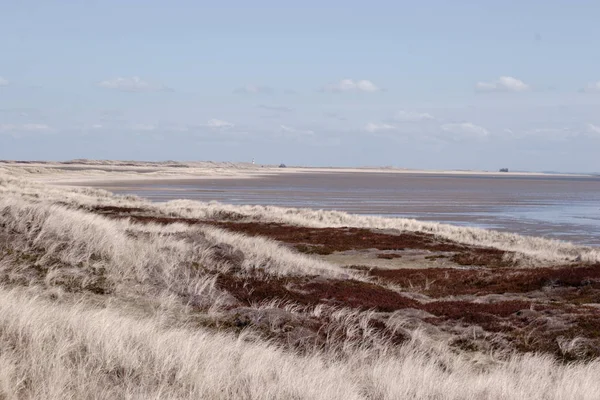 Wattenmeer Bei Keitum Auf Sylt — Stockfoto