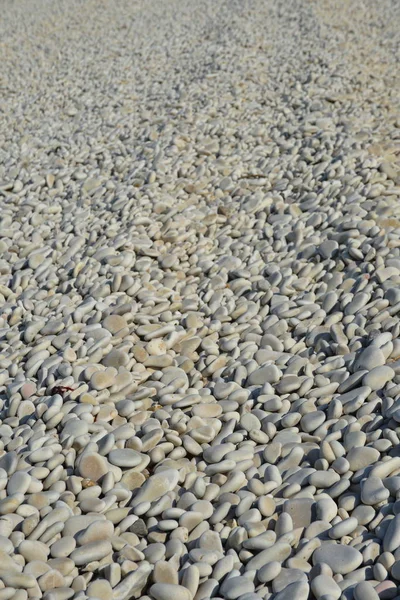 Piedras Piedras Rocosas Fondo Grava Rocosa — Foto de Stock