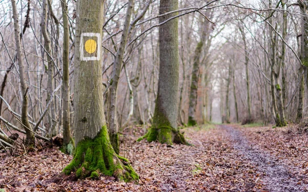 Fotografia Drzew Żółto Białym Znakiem — Zdjęcie stockowe