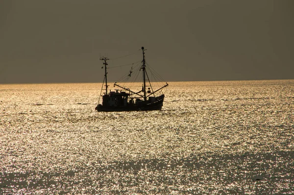 Une Soirée Crevettiste Rétroéclairée Par Soleil Couchant — Photo