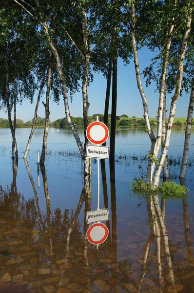 Close View Traffic Sign — Stock Photo, Image