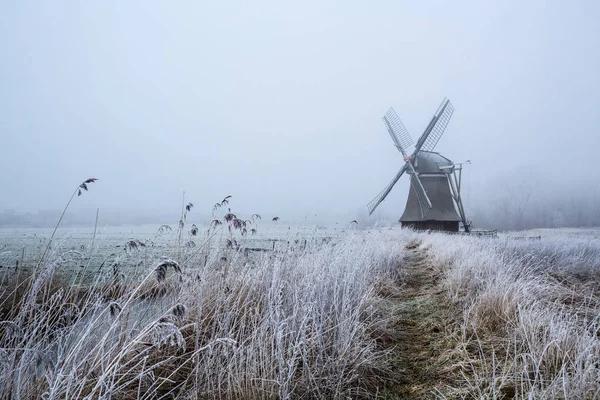 Prachtig Uitzicht Natuur Scene — Stockfoto