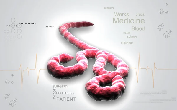 Digital Illustration Ebola Virus Colour Background — 스톡 사진