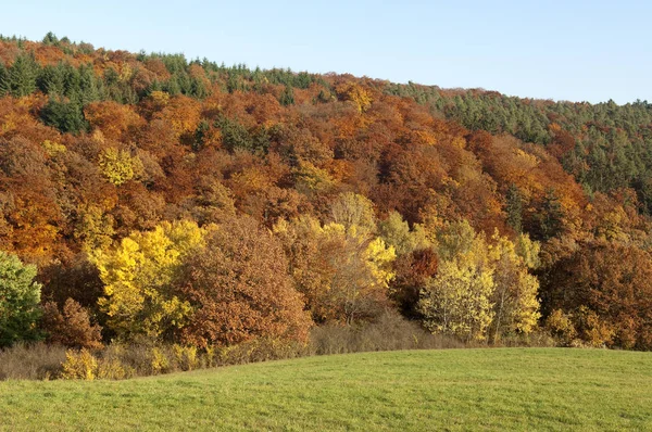 Bello Fogliame Colorato Autunno — Foto Stock