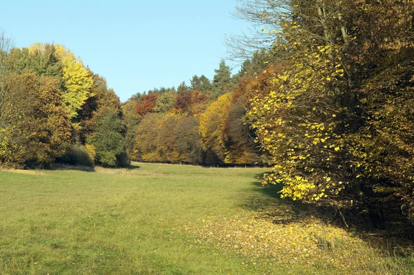 Schöne Bunte Herbstblätter — Stockfoto