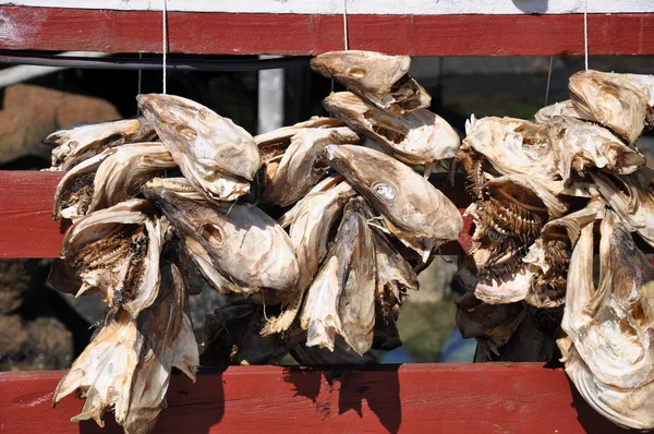 dried fish heads,dried cod,norway