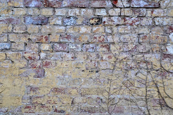 Old Wall Background Texture — Stock Photo, Image
