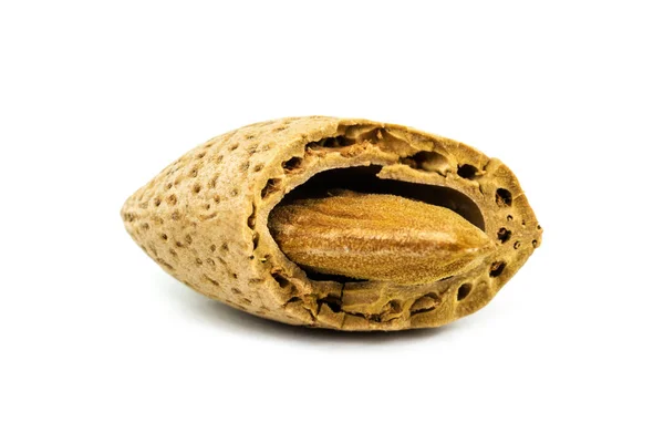 Almond Broken Shell Close Walnut White Background — Stockfoto