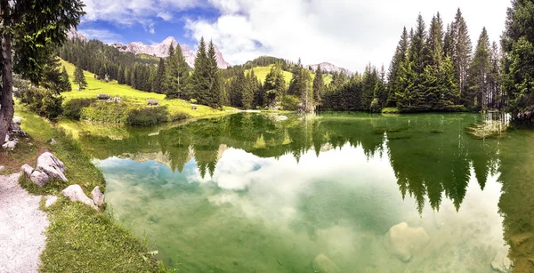 Vista Pittoresca Della Scena Della Natura — Foto Stock