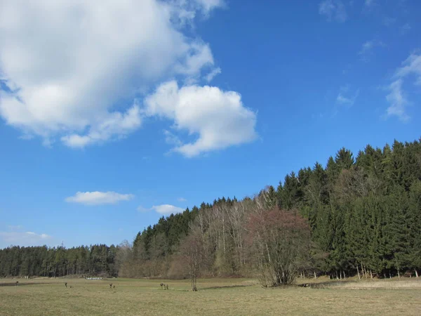 Bayern Ist Das Größte Deutsche Flächenland Das Rund Ein Fünftel — Stockfoto