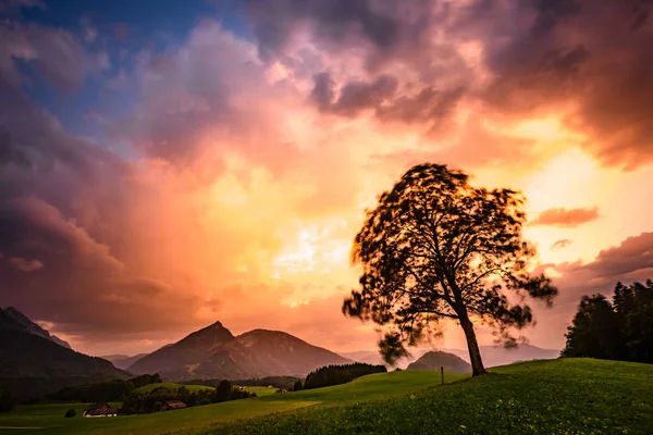 Viaggiando Tra Montagne Delle Alpi — Foto Stock