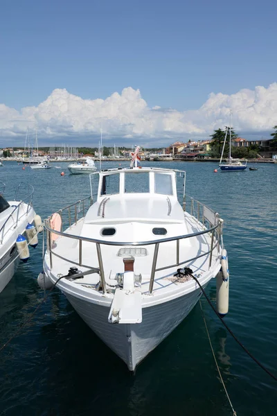 Novigrad Istrien Kroatia Hamn Adriatisk Turism Fyr Fyr Hamnstad Medelhavet — Stockfoto