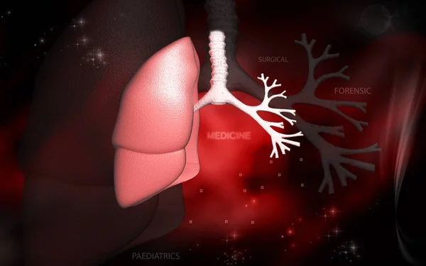 Digital illustration of human lungs in colour background