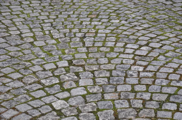 Pavaj Suprafata Drumului Promenada — Fotografie, imagine de stoc