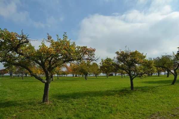 Herbstliche Atmosphäre Selektiver Fokus — Stockfoto