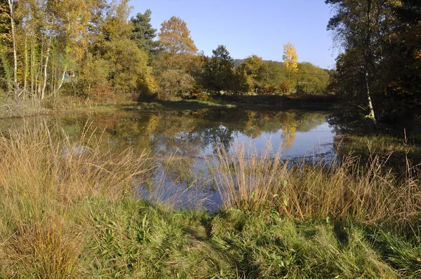 Příroda Podzim Zemi Oberbergi — Stock fotografie