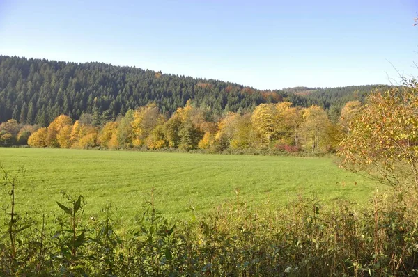 Natura Jesienią Oberbergi Kraju — Zdjęcie stockowe