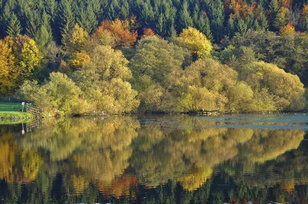 Herbst Der Agger Oberbergischen Land — Stockfoto