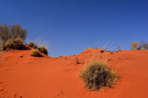 Zandwoestijn Het Noordelijke Gebied Australië — Stockfoto