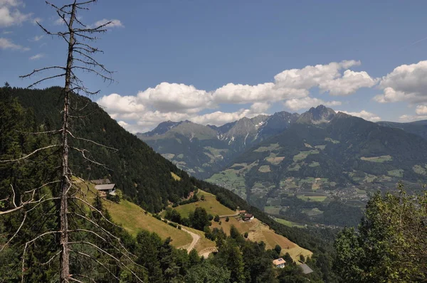 Νότια Tyrol Θάρρος Burgraviato Βουνό Δάσος Δρόμος Βοσκότοποι Σπίτια Φύση — Φωτογραφία Αρχείου